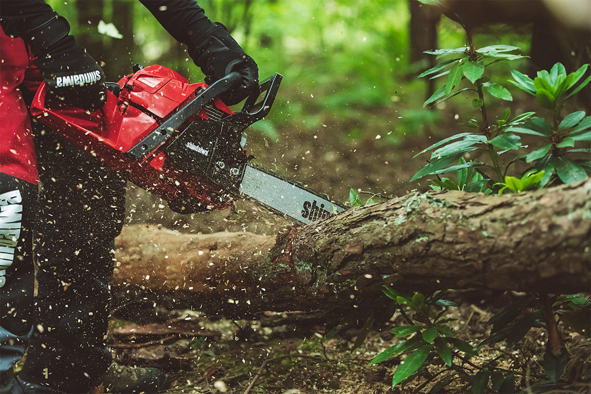 Motosega SHINDAIWA 493 S