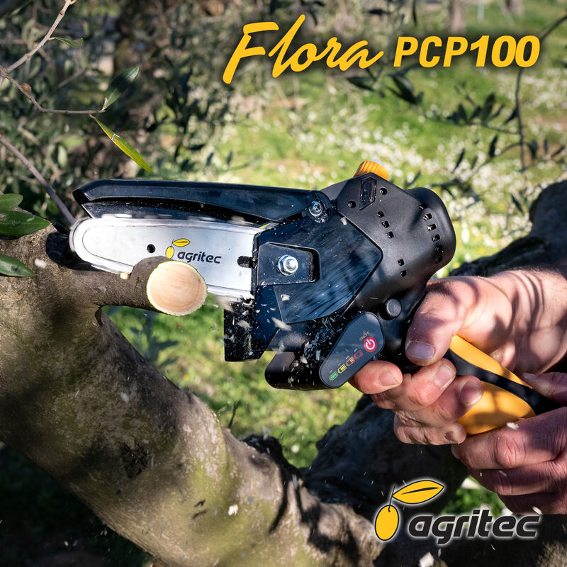 Potatore a batteria AGRITEC FLORA PCP 100