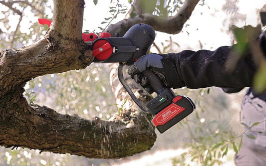 Potatore ZANON ZP 185